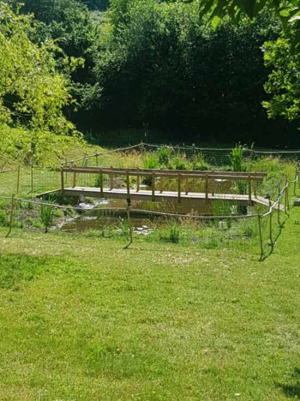 Terrassement pour réalisation d'un étang à Darnétal